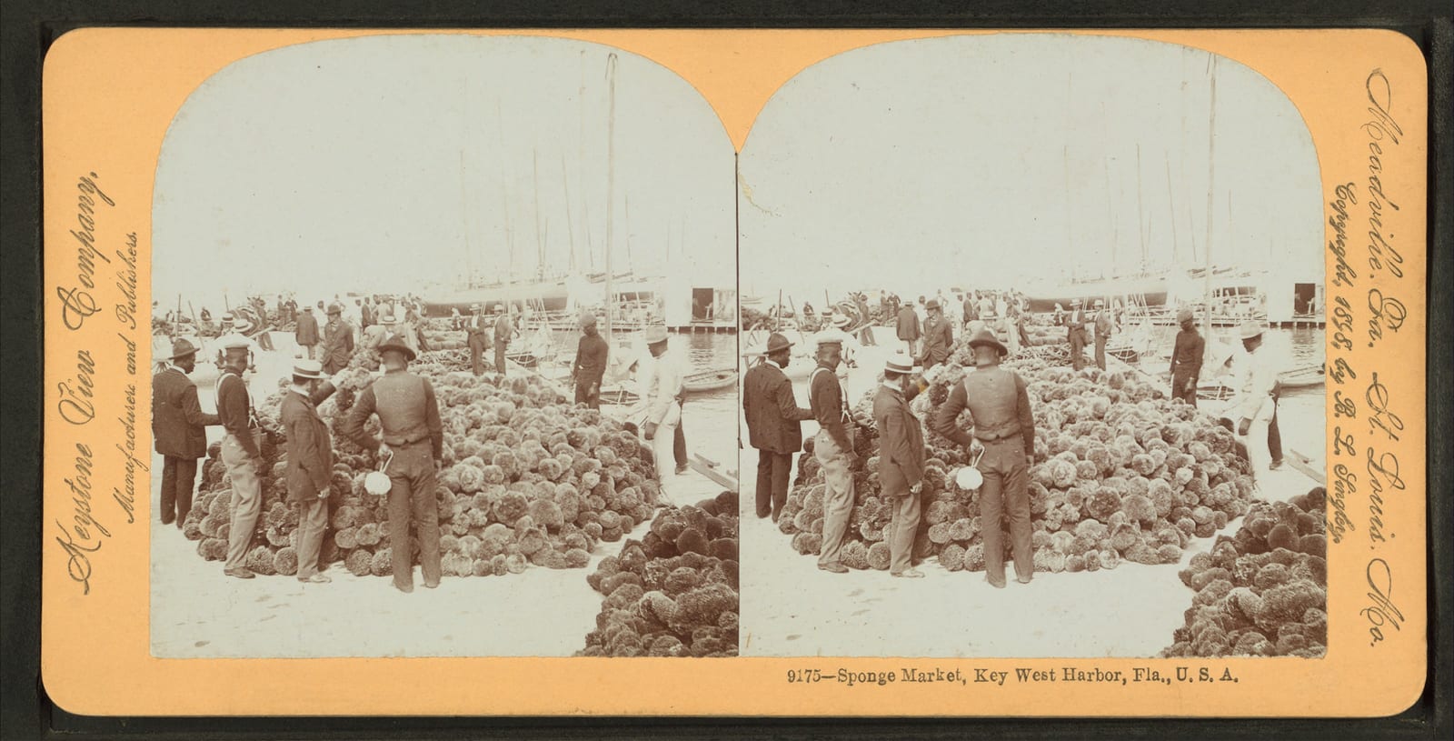 Sponge Market, Key West Harbor, Fla, from Robert N. Dennis