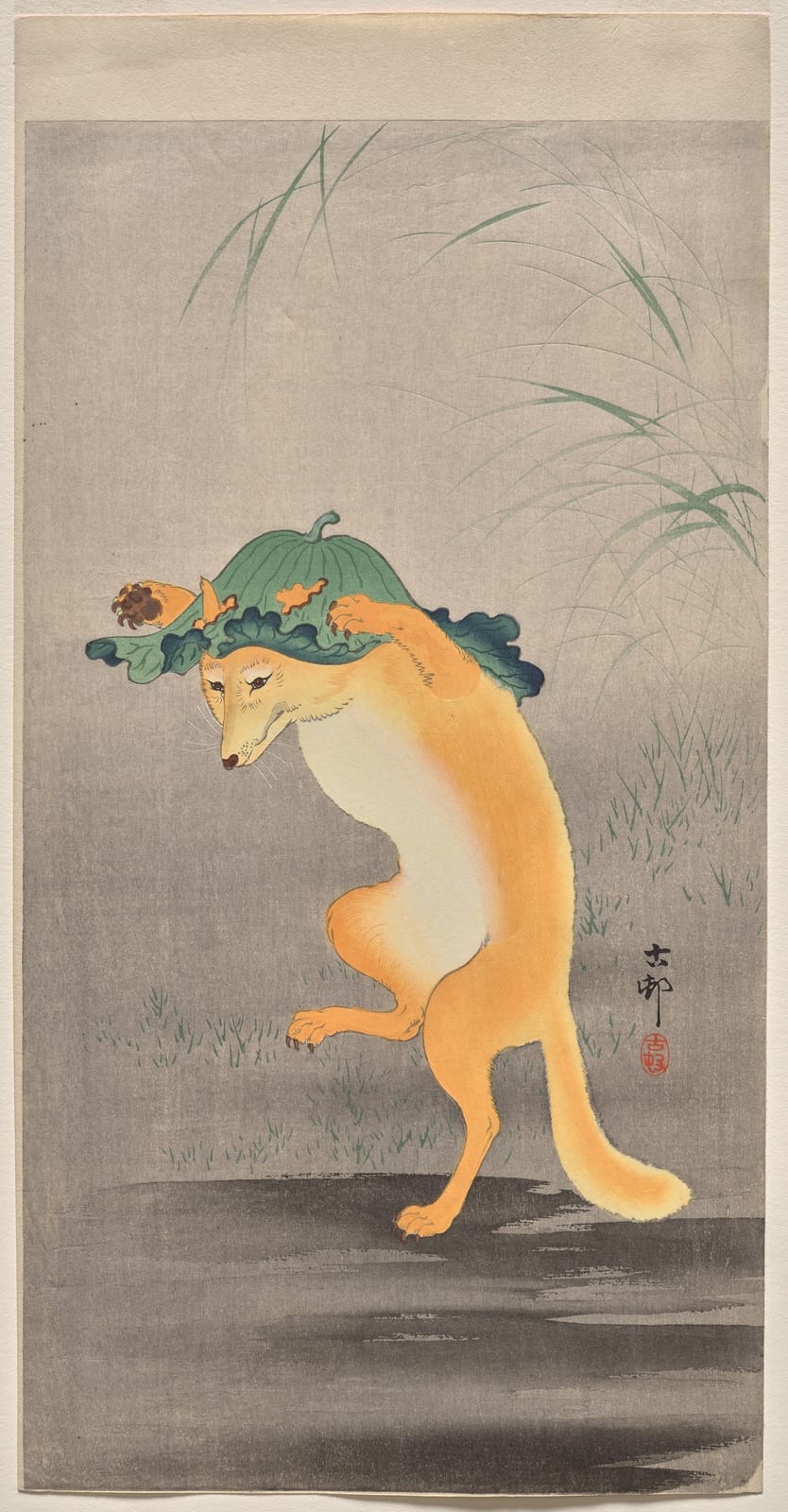 Dancing Fox