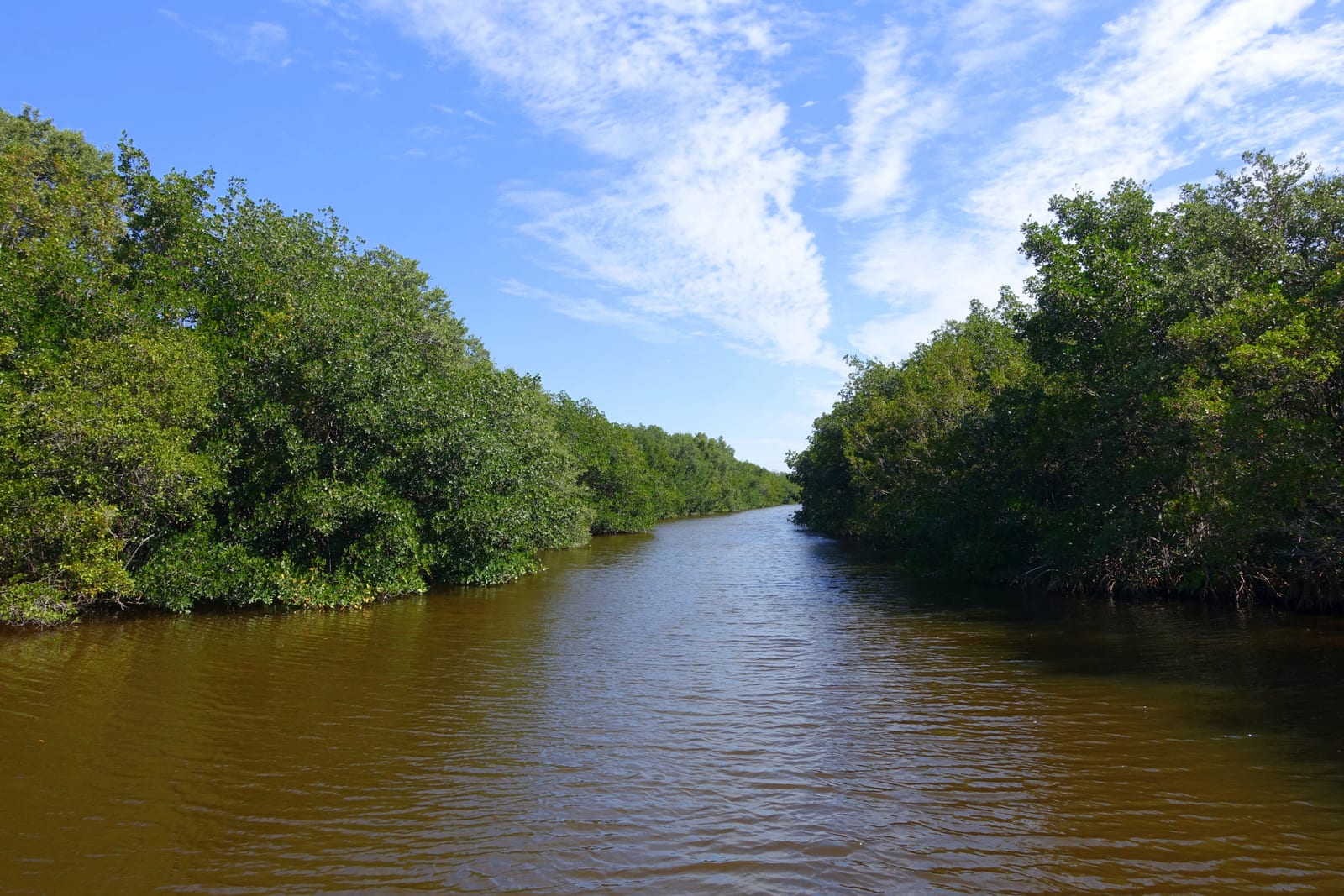 Buttonwood Canal tour - Everglades National Park