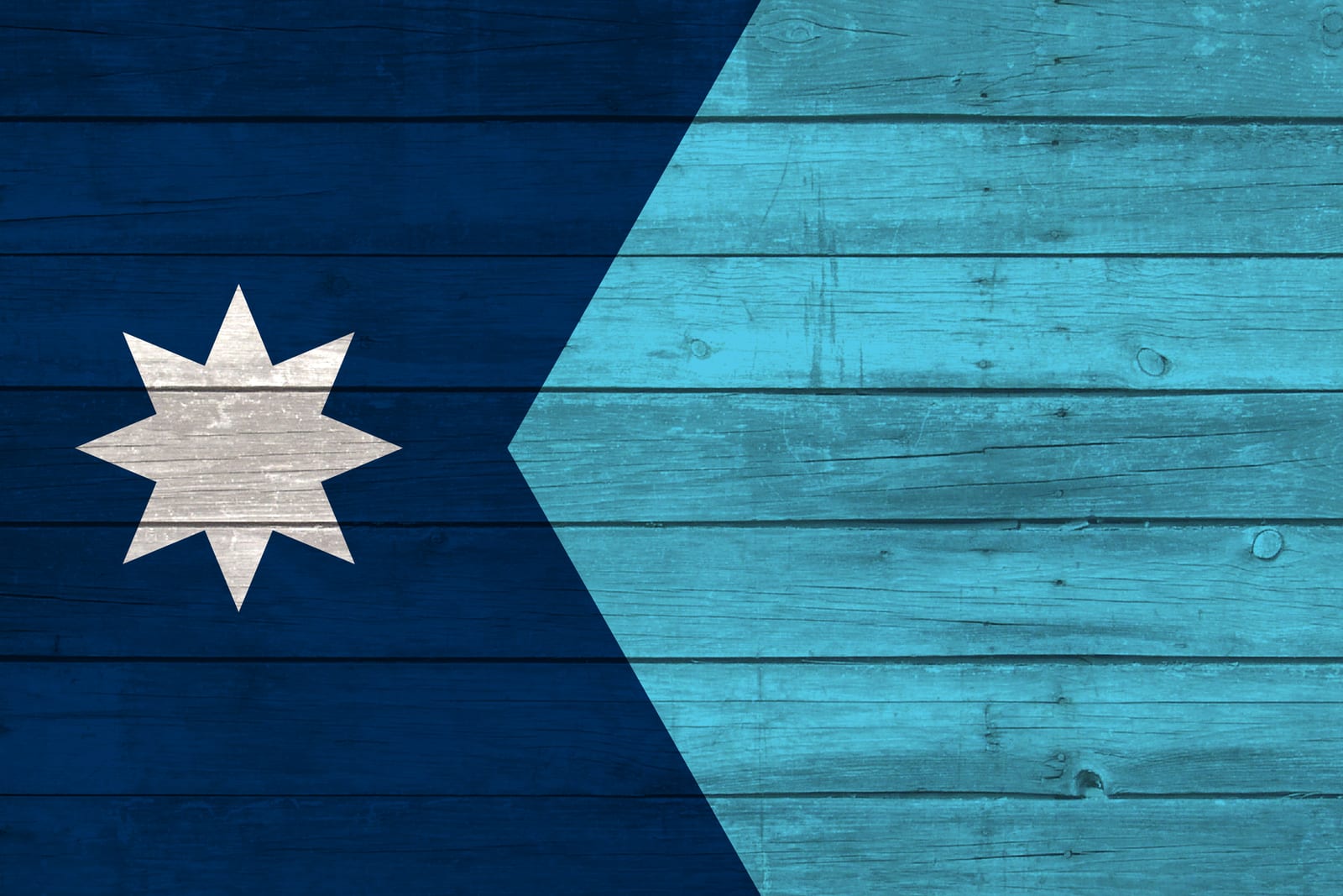 Minnesota State Flag on Wood Canvas Print