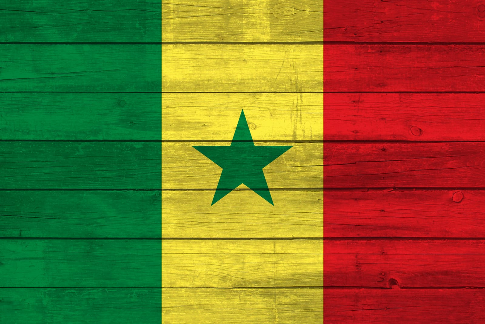 Senegal National Flag on Wood Canvas Print