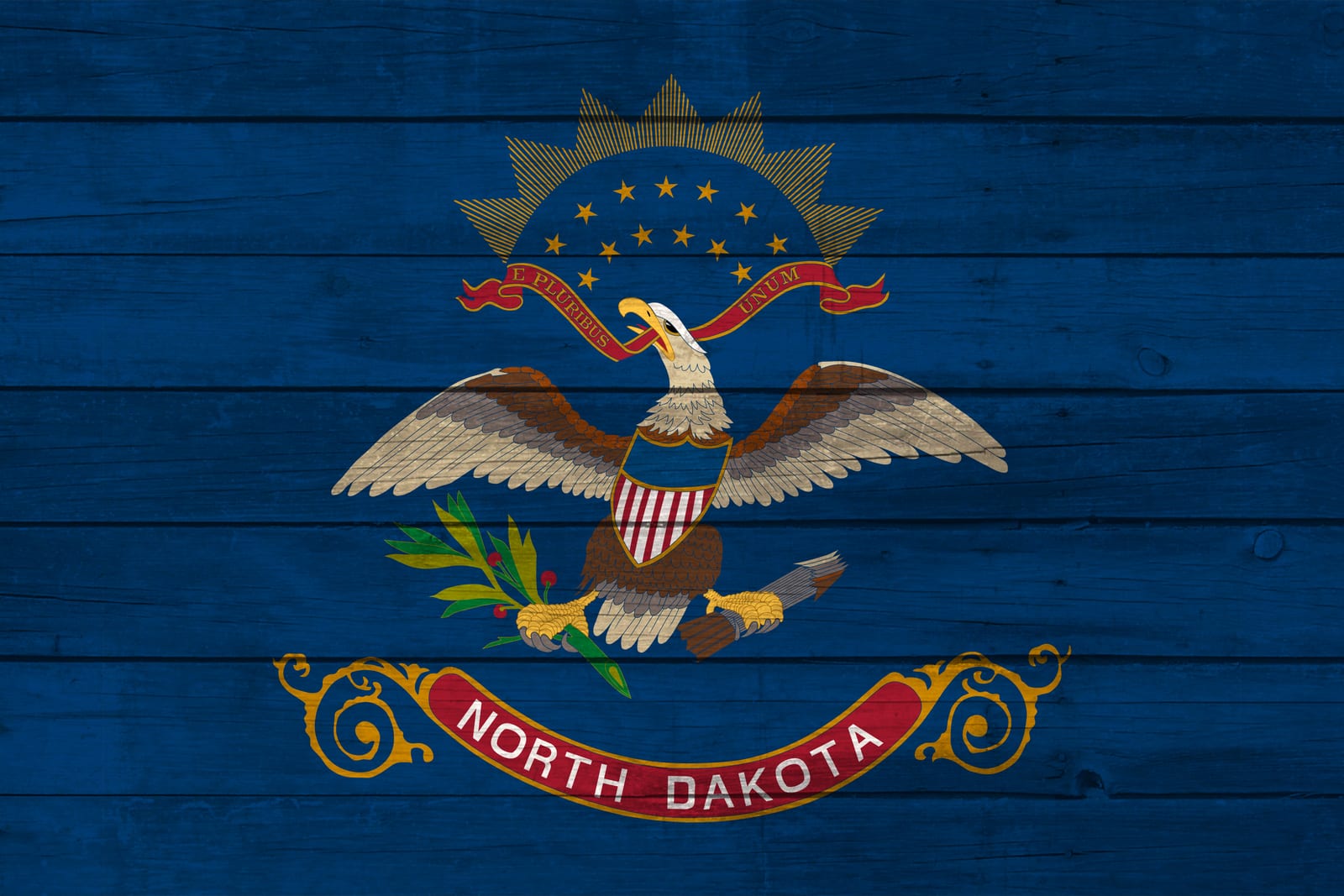 North Dakota State Flag on Wood Canvas Print