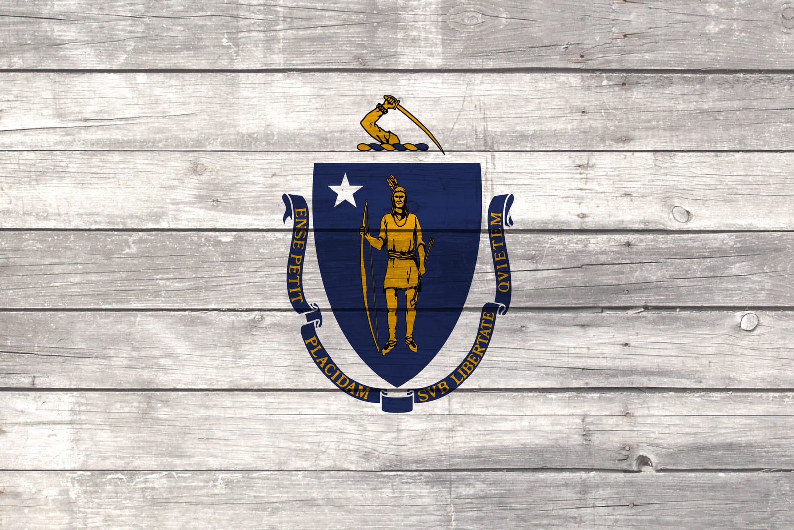 Massachusetts State Flag on Wood Canvas Print