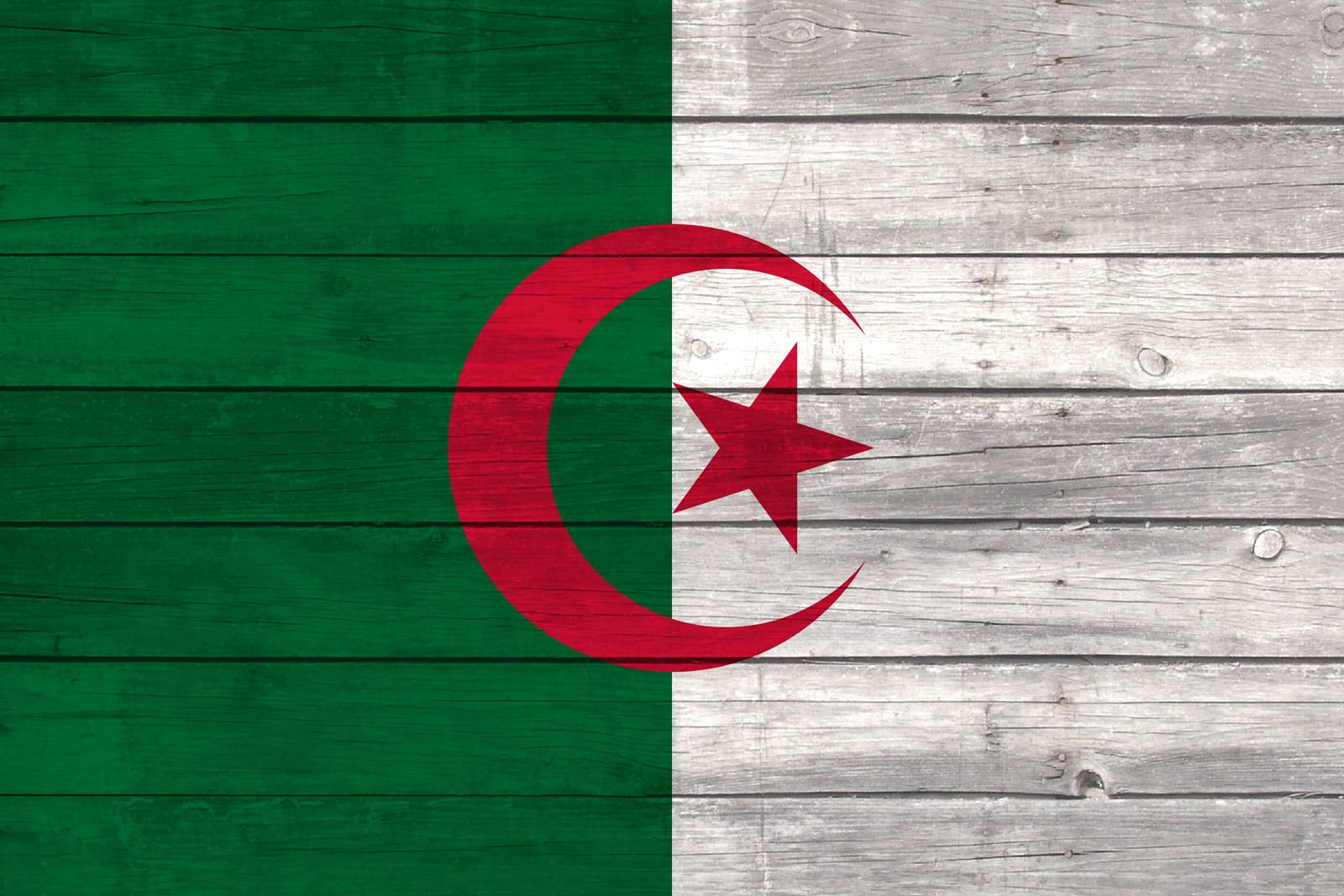 Algeria National Flag on Wood Canvas Print
