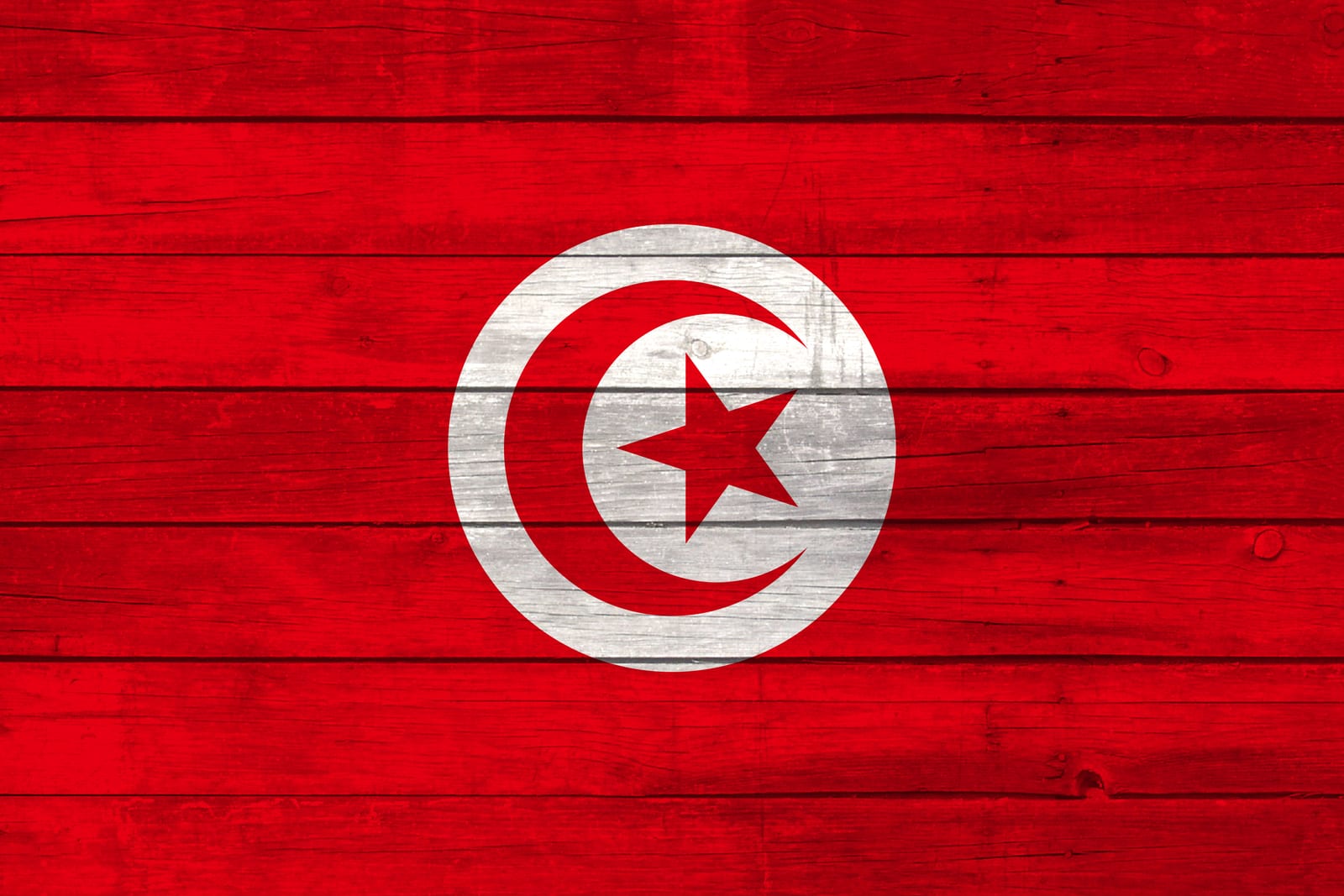 Tunisia National Flag on Wood Canvas Print