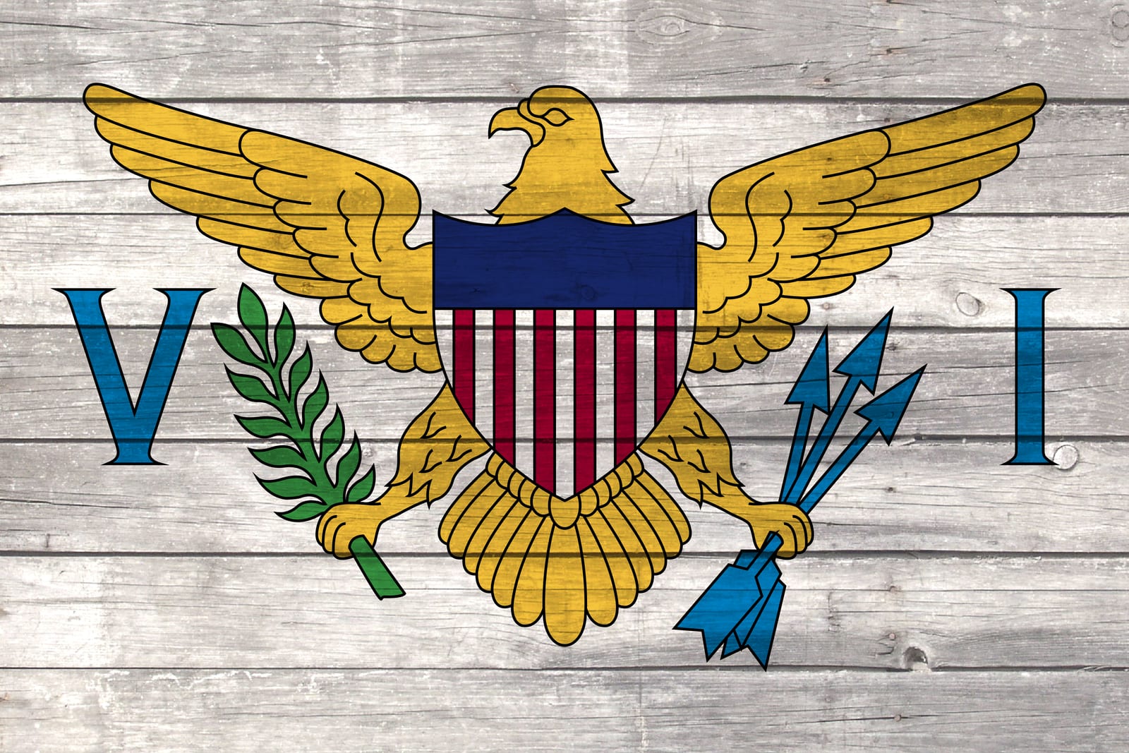 US Virgin Islands Flag on Wood Canvas Print