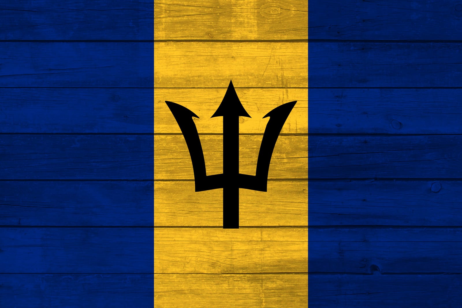 Barbados National Flag on Wood Canvas Print