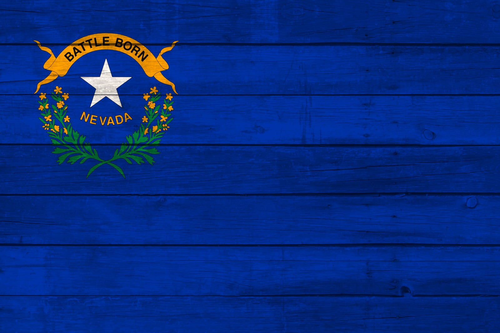 Nevada State Flag on Wood Canvas Print