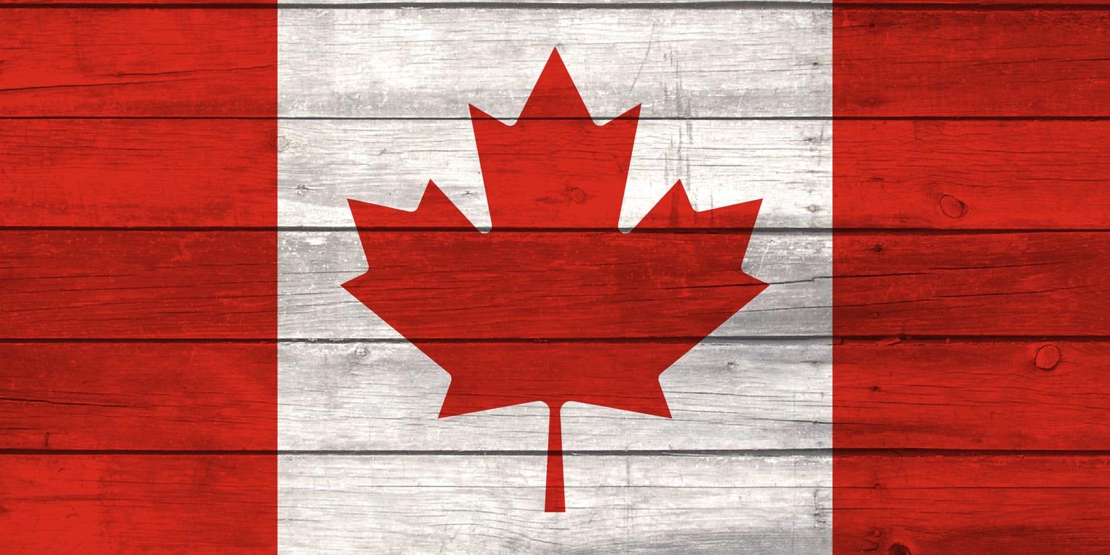 Canada National Flag on Wood Canvas Print