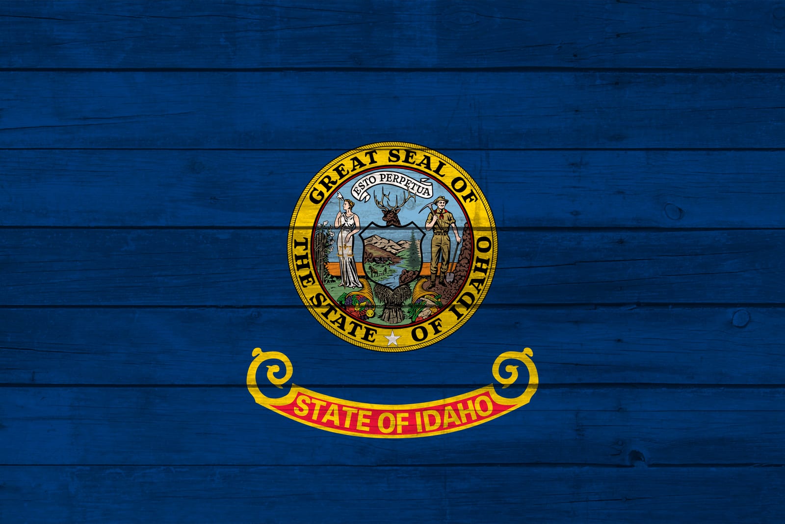 Idaho State Flag on Wood Canvas Print