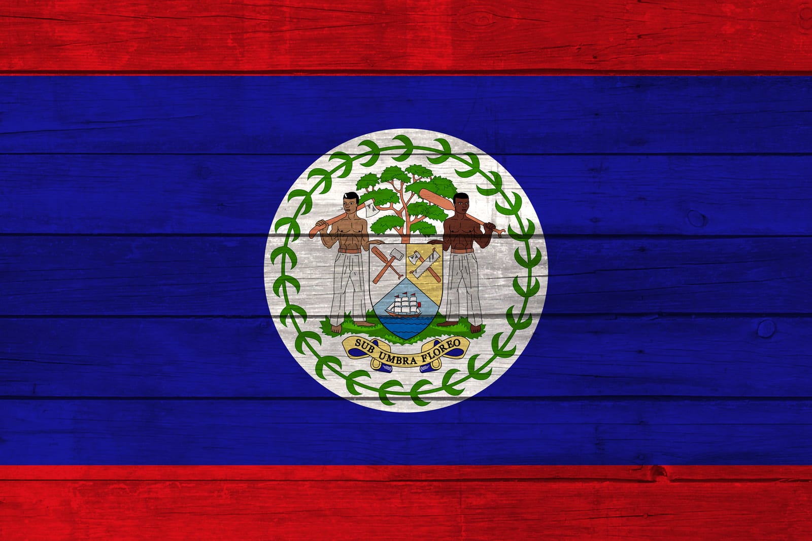 Belize National Flag on Wood Canvas Print