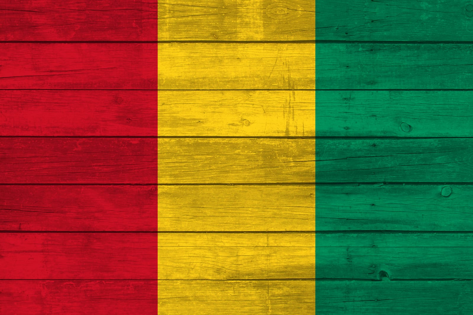 Guinea National Flag on Wood Canvas Print