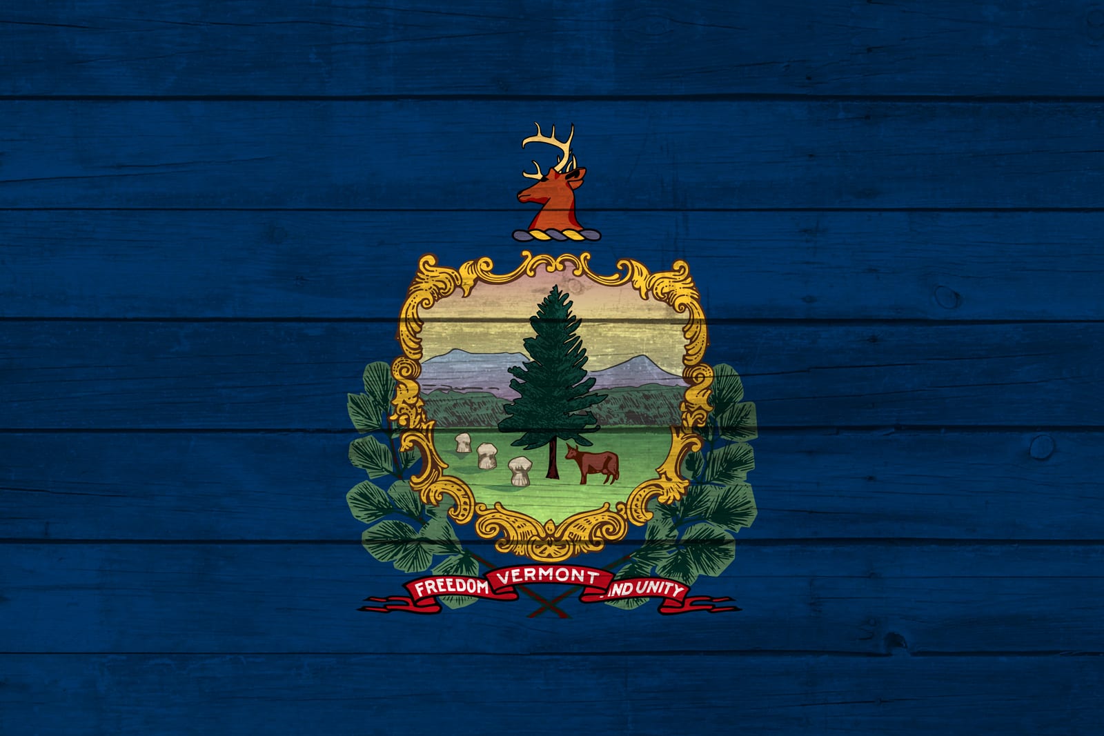 Vermont State Flag on Wood Canvas Print