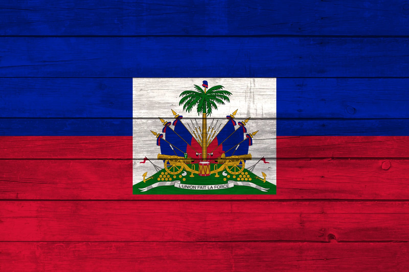 Haiti National Flag on Wood Canvas Print