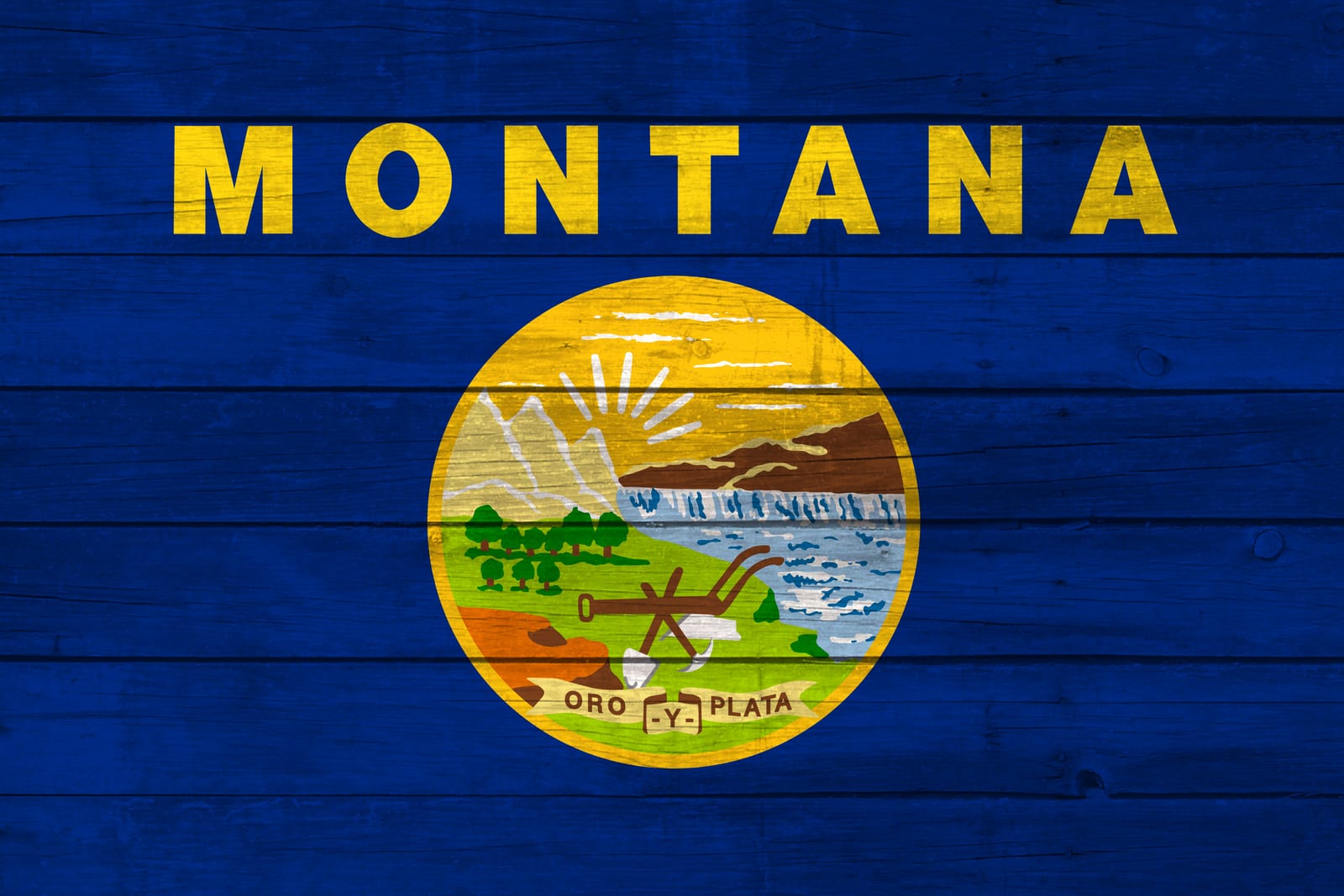 Montana State Flag on Wood Canvas Print