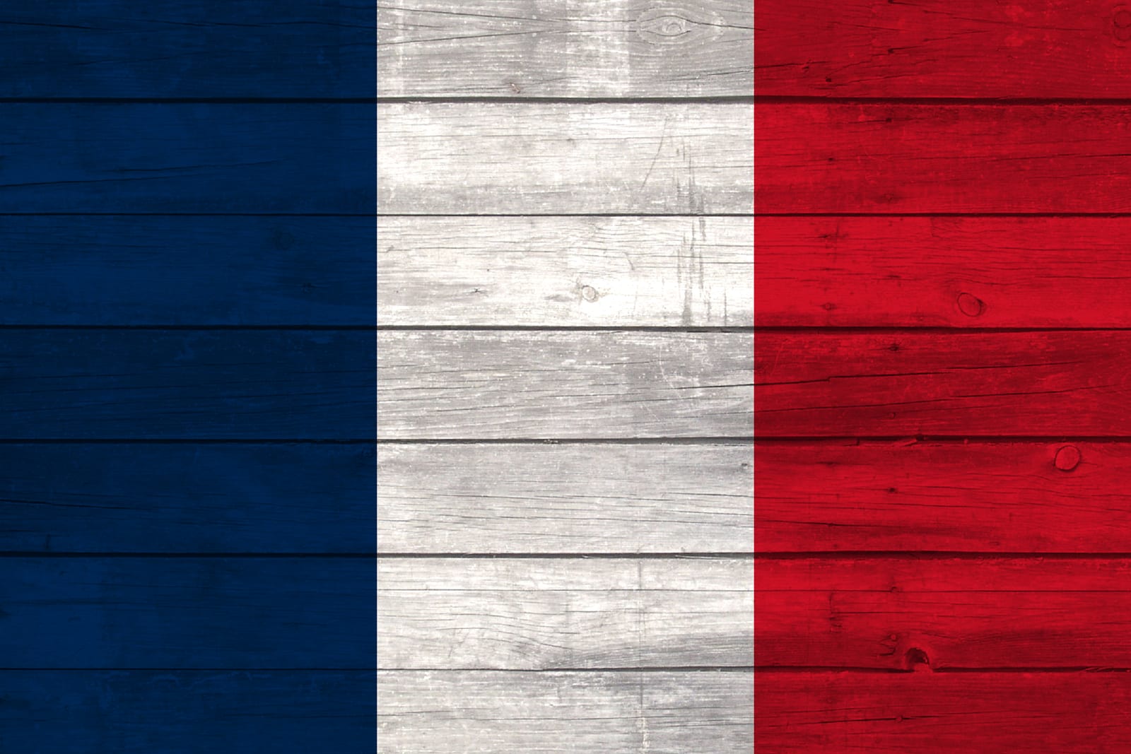 France National Flag on Wood Canvas Print