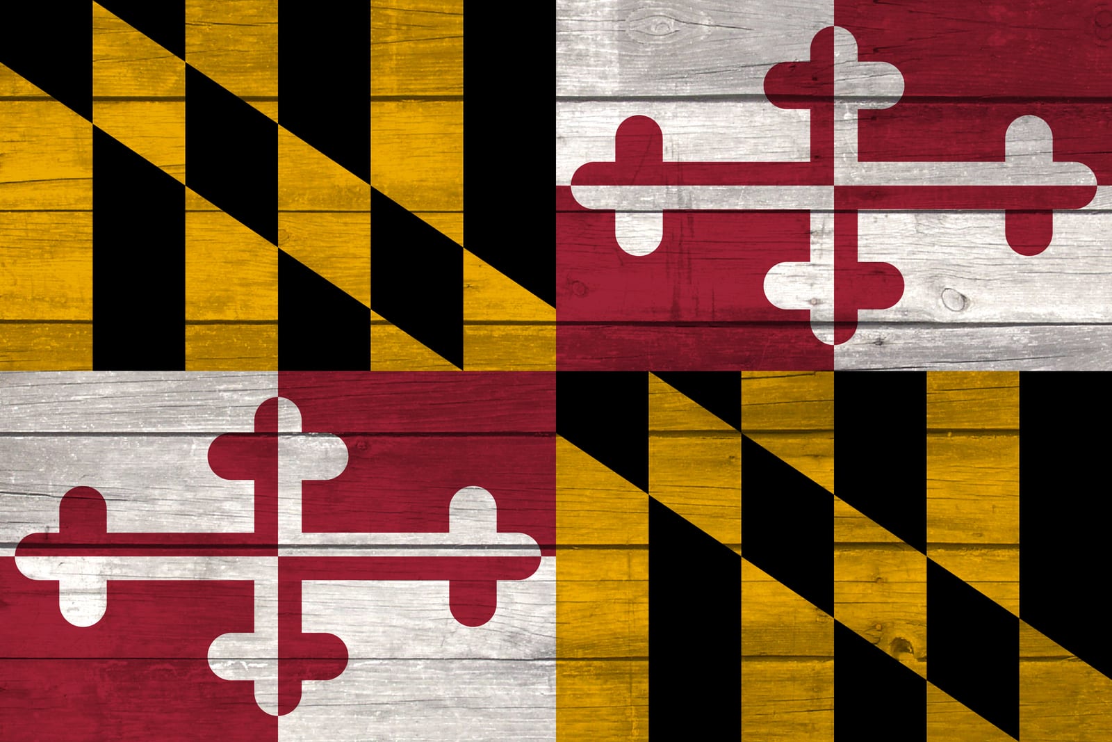 Maryland State Flag on Wood Canvas Print