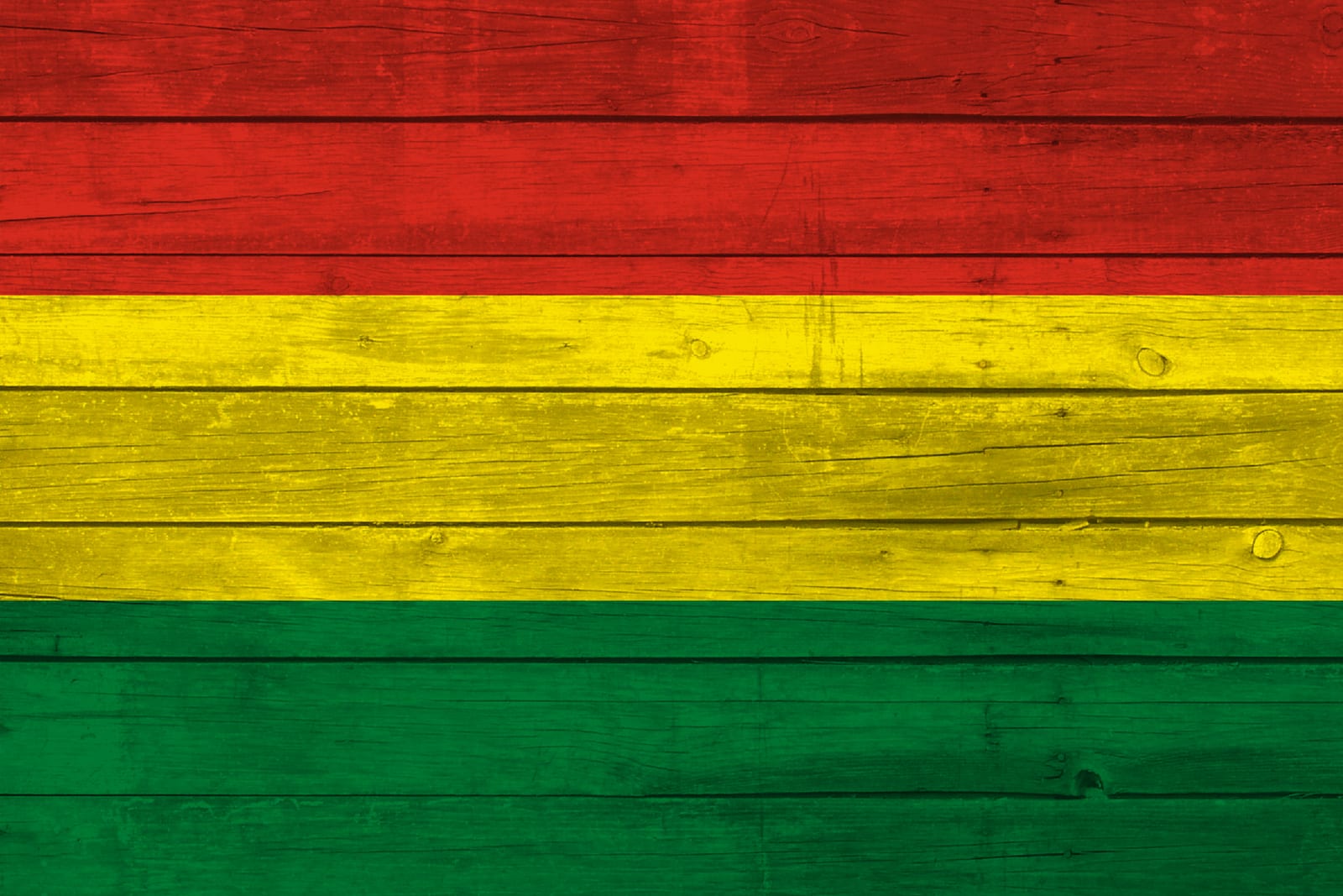 Bolivia National Flag on Wood Canvas Print