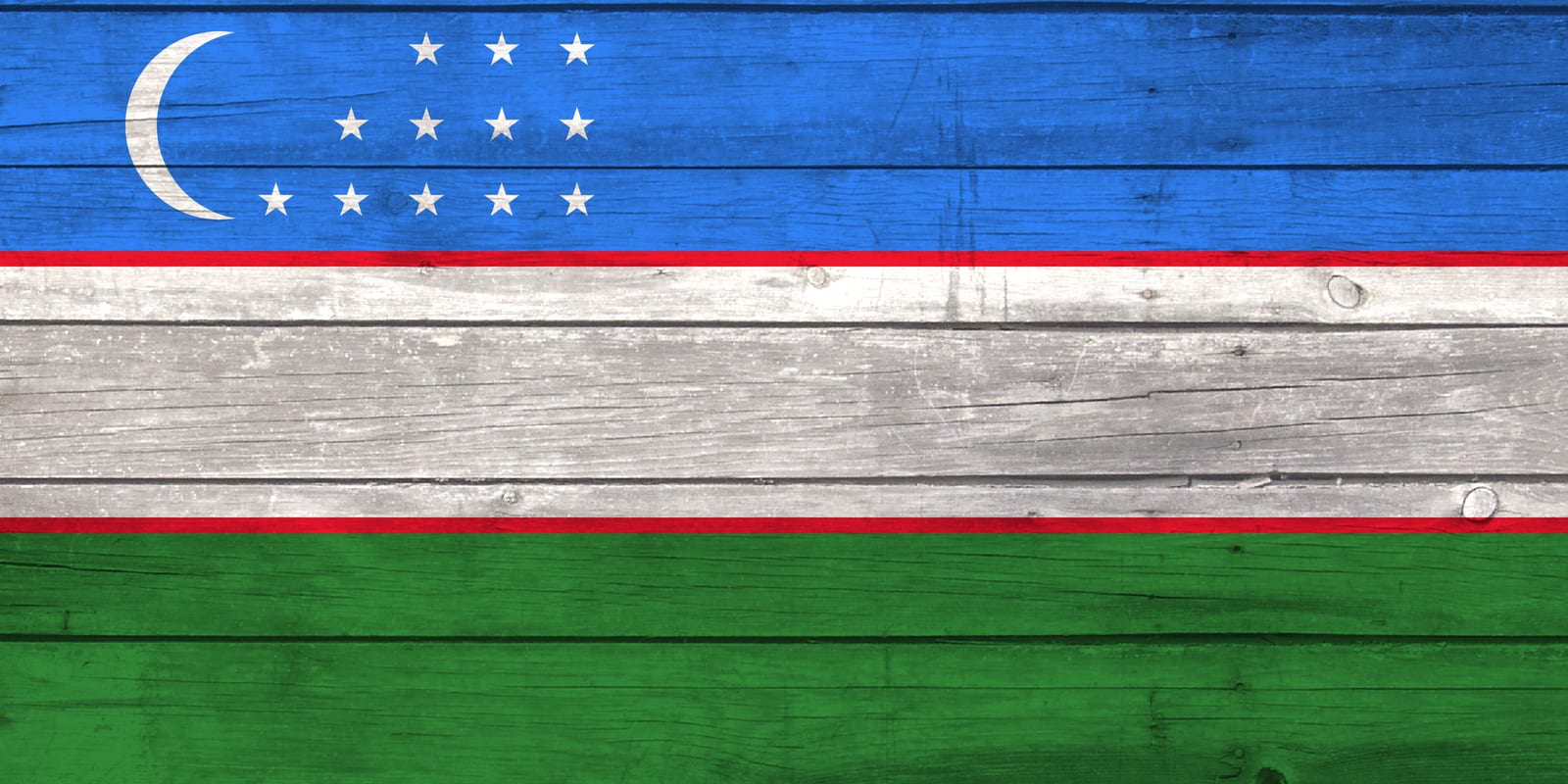 Uzbekistan National Flag on Wood Canvas Print