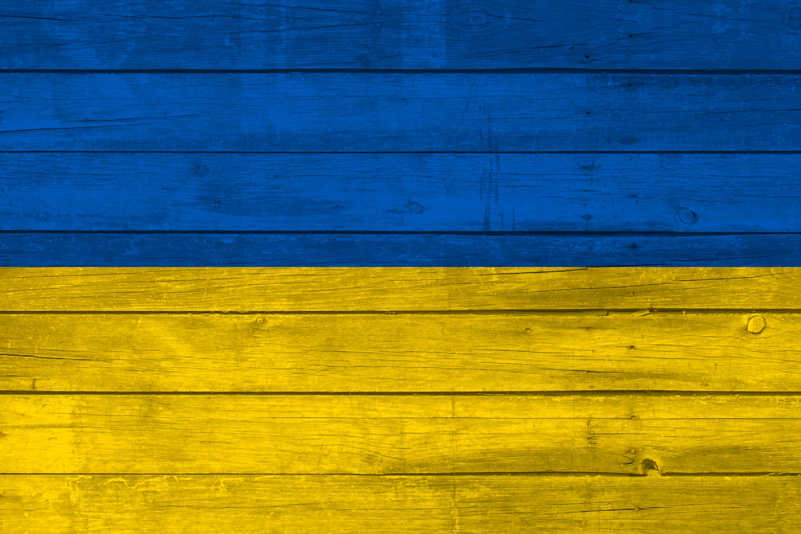 Ukraine National Flag on Wood Canvas Print