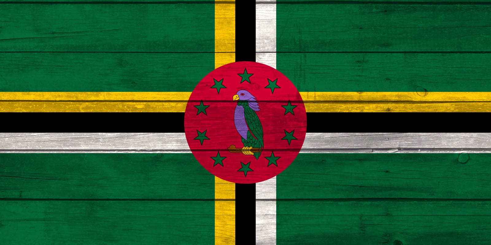 Dominica National Flag on Wood Canvas Print