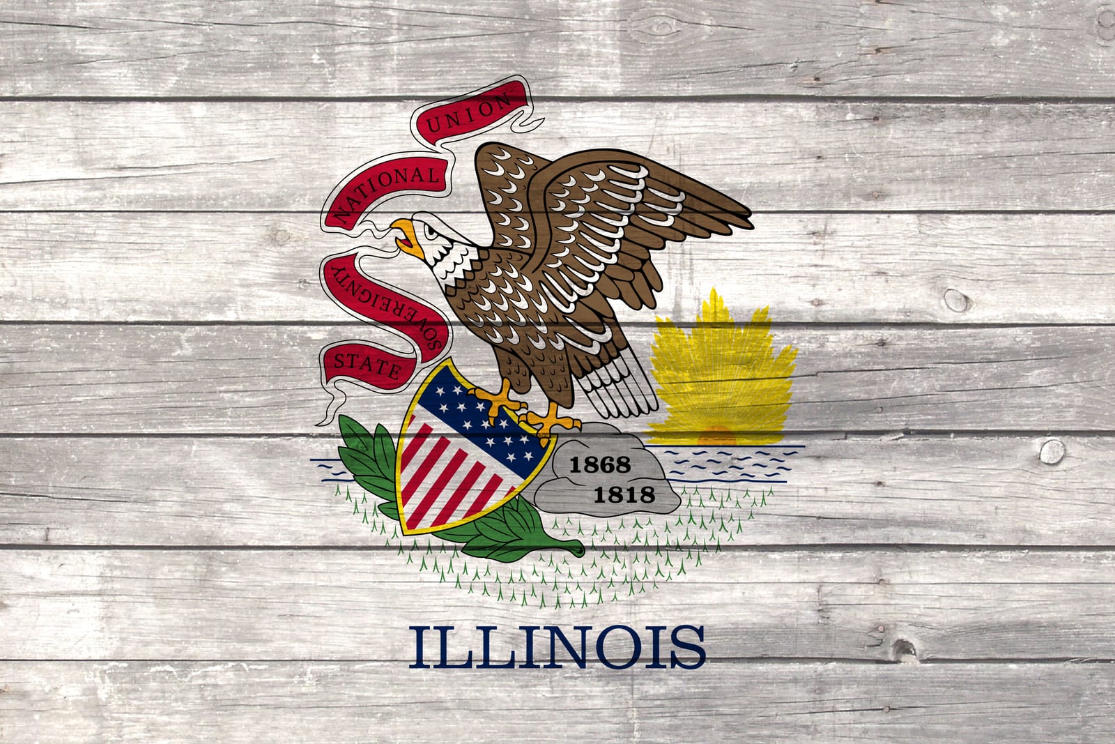 Illinois State Flag on Wood Canvas Print