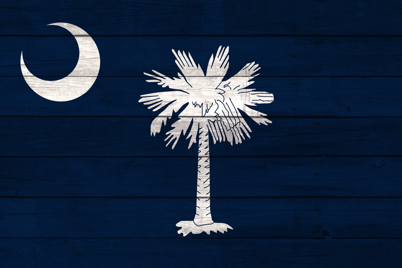 South Carolina State Flag on Wood Canvas Print
