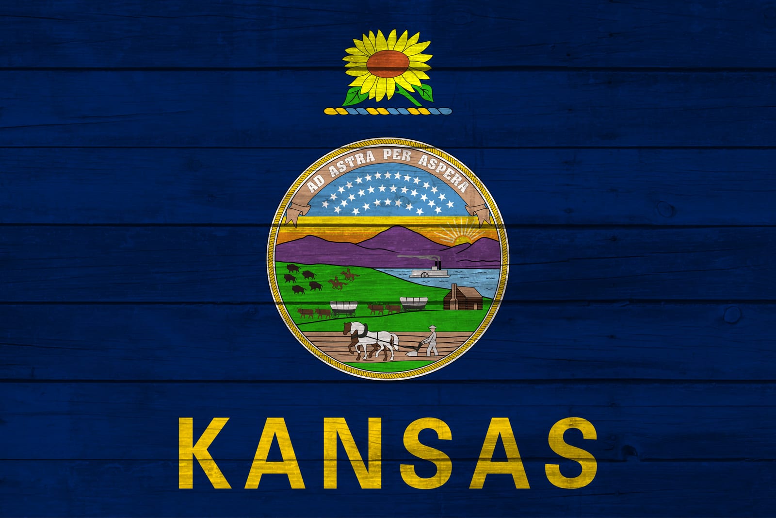 Kansas State Flag on Wood Canvas Print