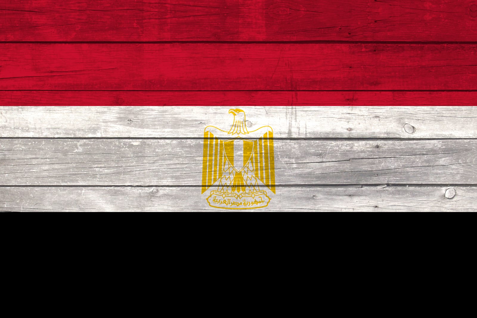 Egypt National Flag on Wood Canvas Print