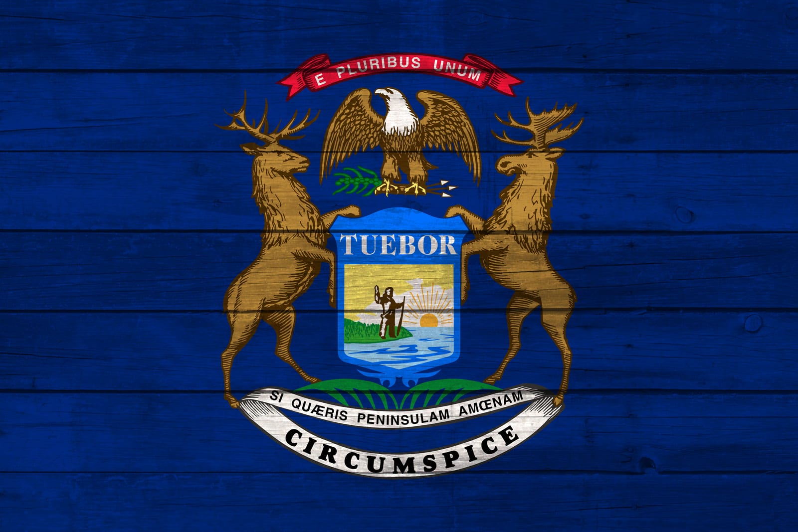 Michigan State Flag on Wood Canvas Print