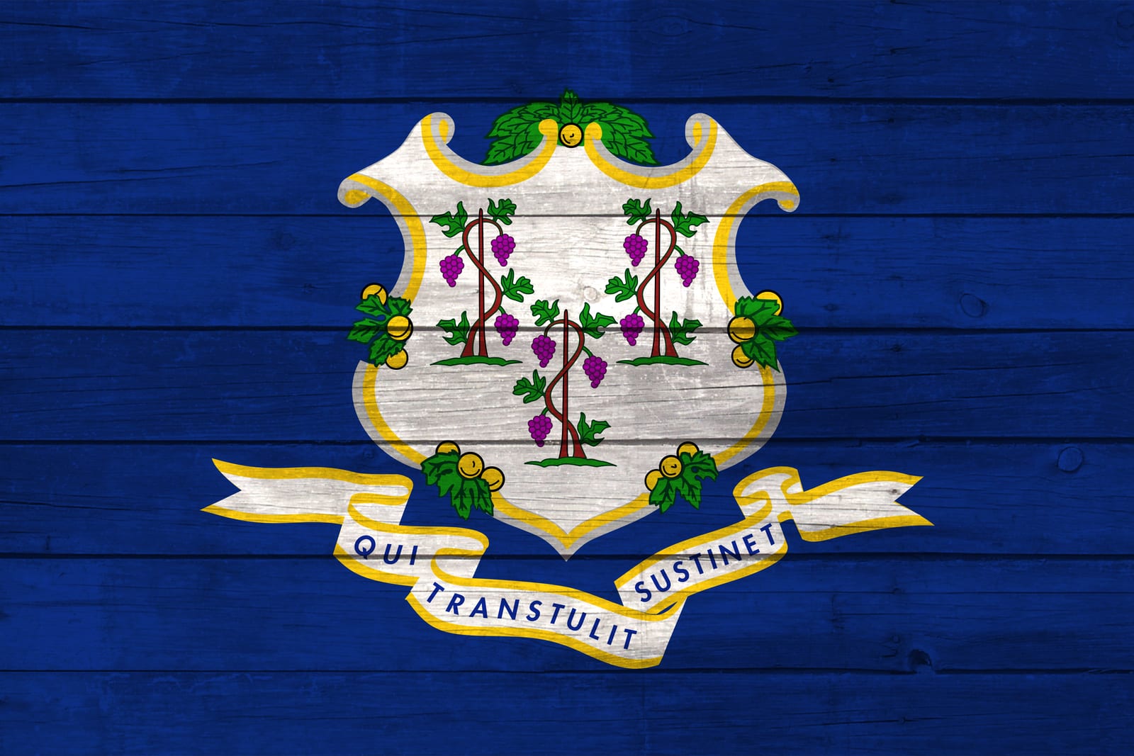 Connecticut State Flag on Wood Canvas Print