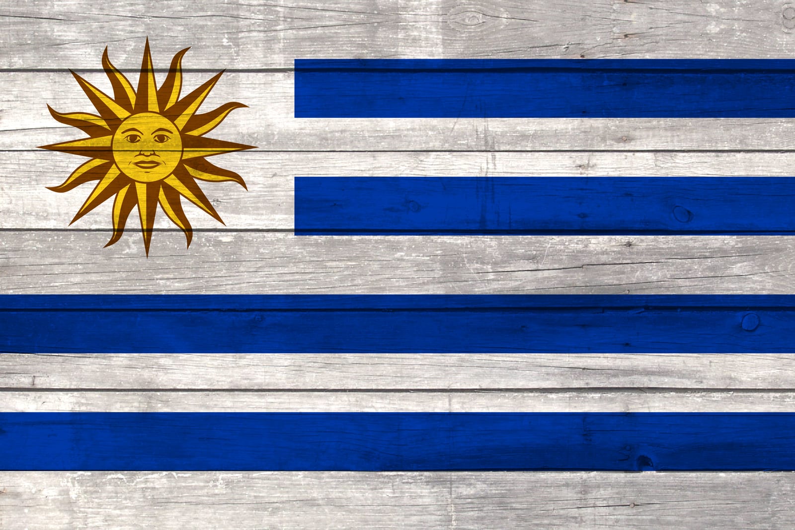 Uruguay National Flag on Wood Canvas Print