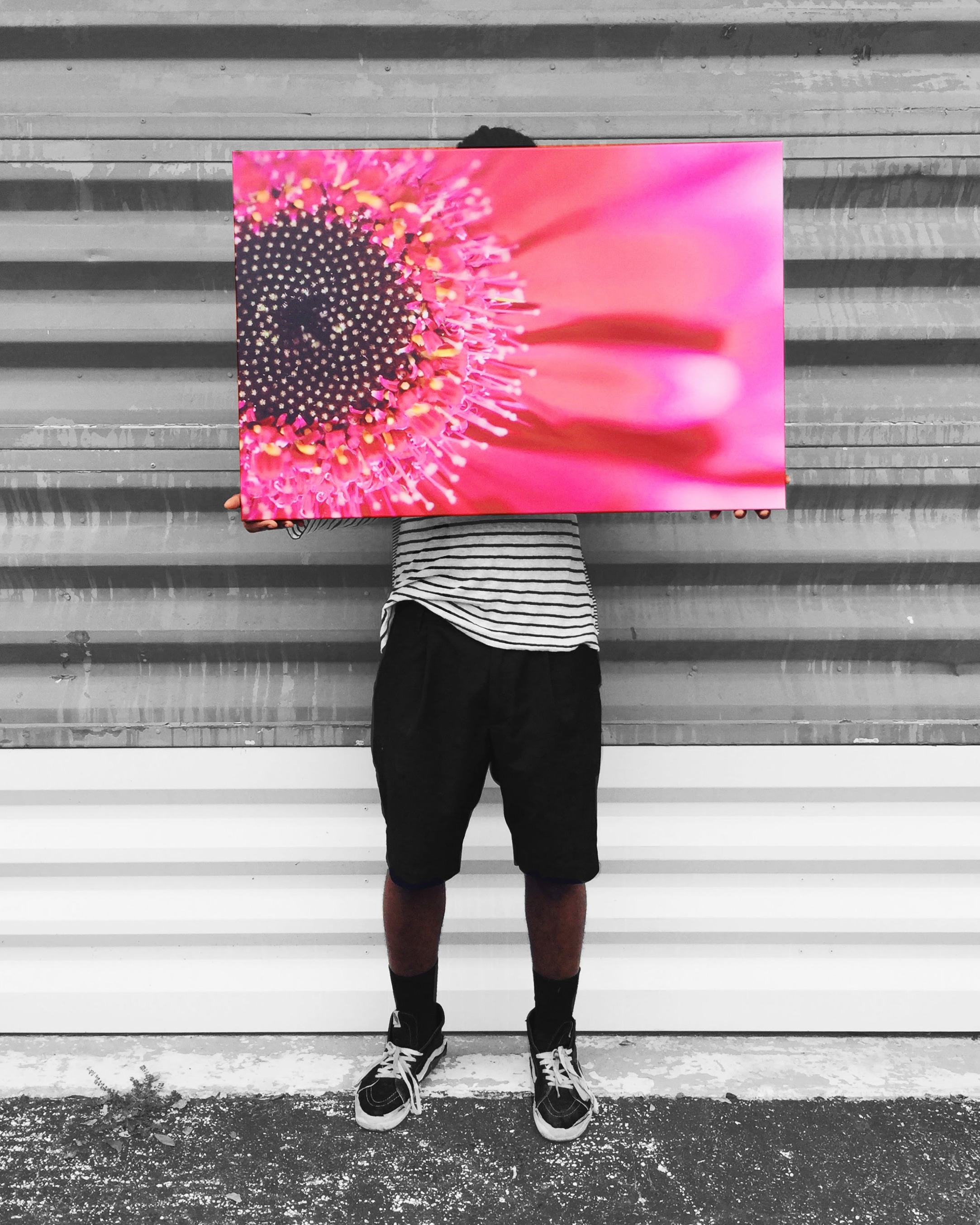 36x24 Canvas